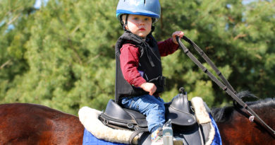 Школа верхової їзди для малюків Baby Rider Школа верхової їзди для малюків Baby Rider