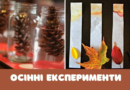 Осінні експерименти для дітей Осінні експерименти для дітей