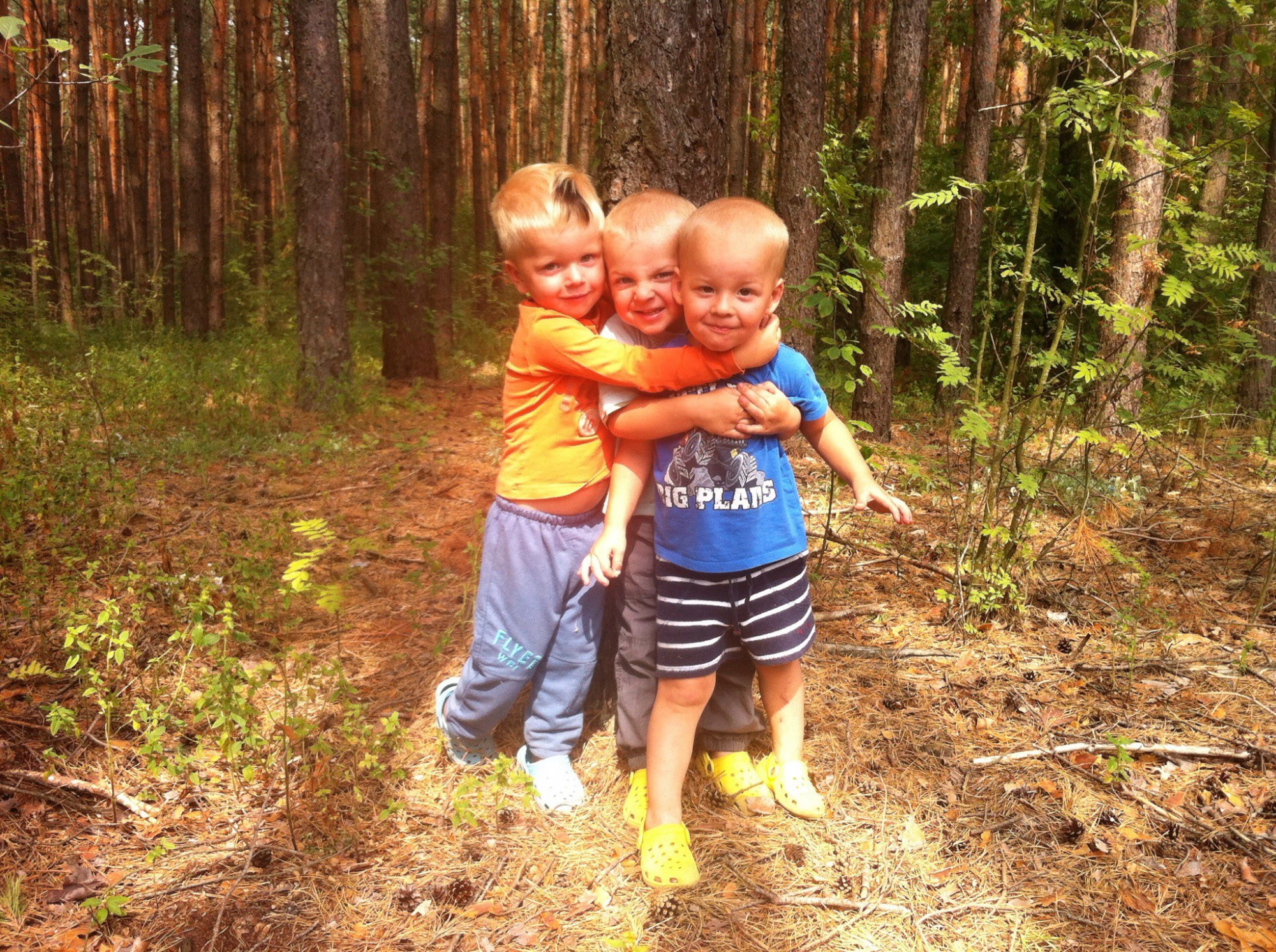 Лісова прогулянка братів